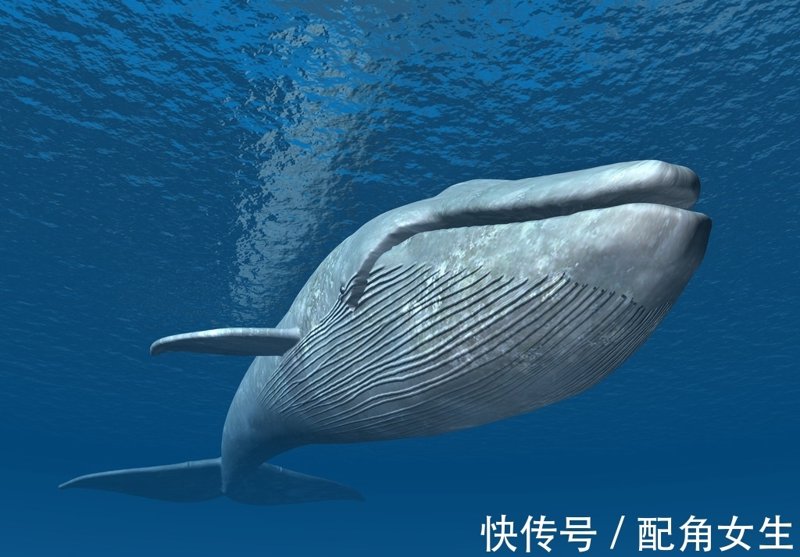 诸暨网站建设：助力企业数字化转型