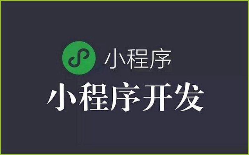 软件开发公司的行业生态与未来发展